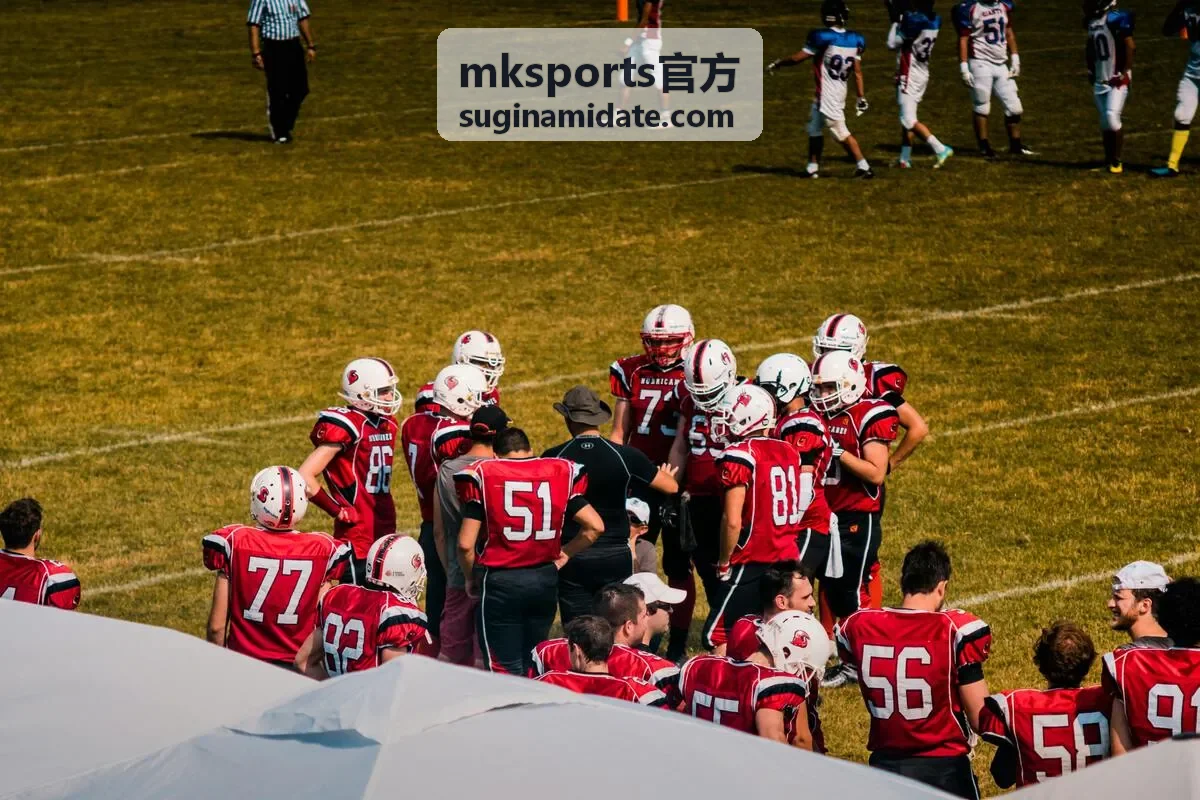 mksports官方 赛事专题观察阅读封面图片