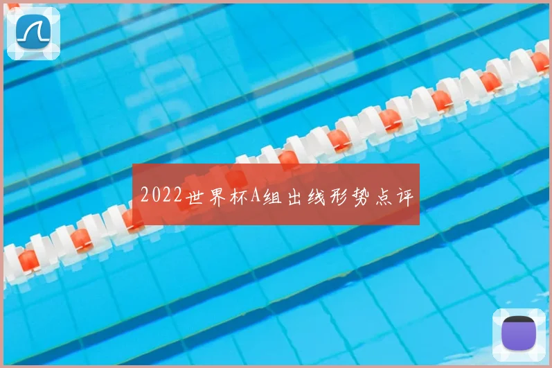 2022世界杯A组出线形势点评